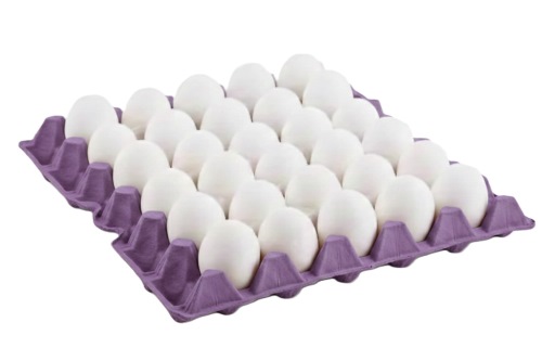 Huevos BLANCOS N°1   Maple